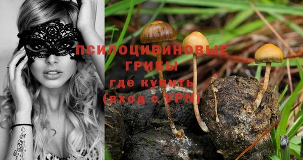 каннабис Алексеевка